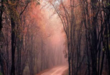 男子举重全锦赛:潘云华刷新全国青年纪录.