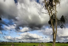 2025年斯诺克世界大奖赛:罗伯逊连赢十局“零封”宾汉姆夺冠2025-03-10.