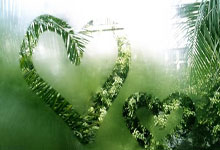 曼恩与杰克逊发生口角,演绎假摔被吹技犯遭驱逐.